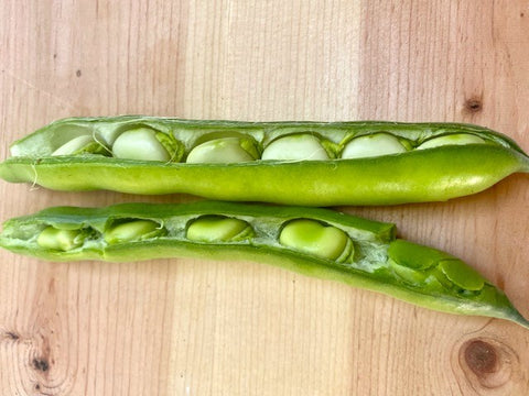 How to Cook Fava Beans: Shelling, Peeling, and Blanching Guide